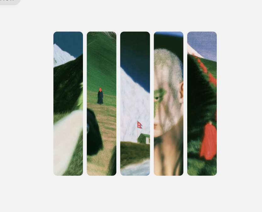 23